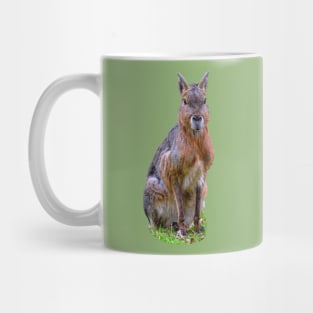 Alert Mara Mug